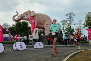 BIB: 
                            <button type="button" onclick="openModal(26528929)" class="btn btn-primary btn-sm float-right btn-popup" data-toggle="modal" data-target=".modal-high-quality">
                        <i class="fas fa-shopping-cart"></i> Add to Cart
                    </button>
                                            <button type="button" onclick="isThisMe(26528929, true)" class="btn btn-success btn-sm float-right btn-popup btn-isme hidden" data-toggle="tooltip" data-placement="bottom" title="นี่คือรูปของคุณใช่ไหม คลิกที่นี่เพื่อเอาเข้าอัลบั้ม">
                        <i class="fas fa-plus"></i> Add to album
                    </button>
                    <button type="button" onclick="isThisMe(26528929, false)" class="btn btn-warning btn-sm float-right btn-popup btn-isnotme hidden">
                        <i class="fas fa-ban"></i> Remove from album
                    </button>